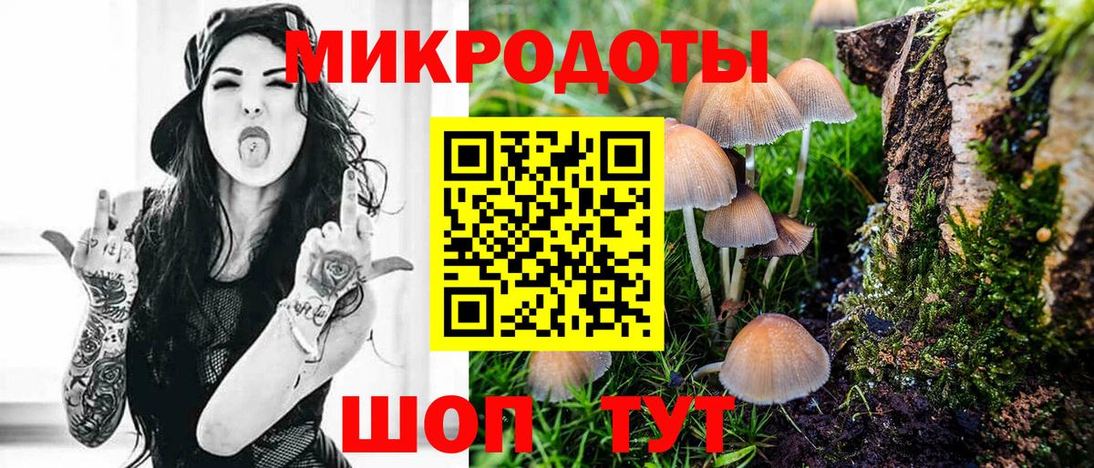 Галлюциногенные грибы мухоморы Майкоп