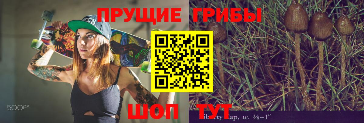 Майкоп  где найти   Вход с VPN  Псилоцибиновые грибы мухоморы 